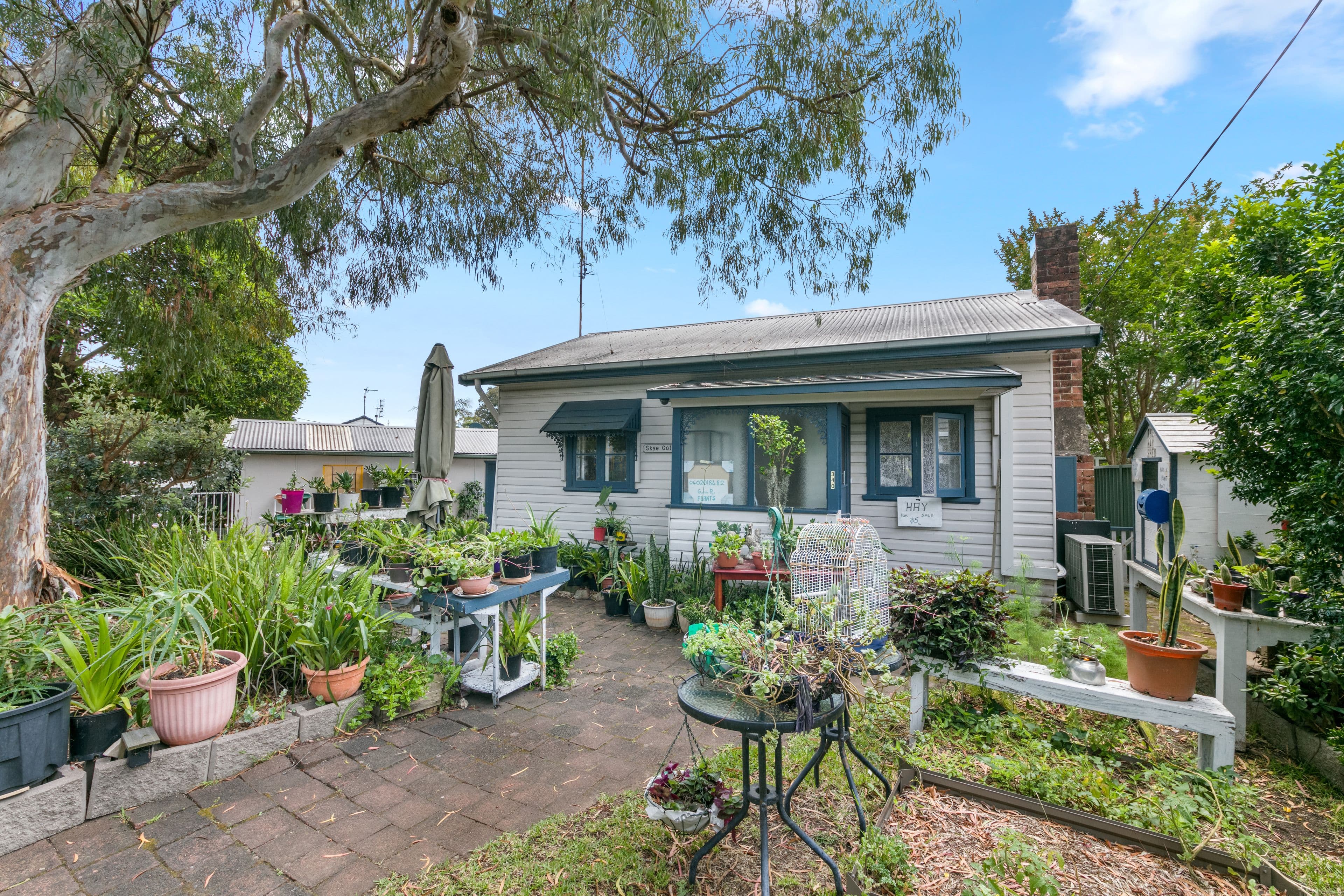 340 Main Road, Toukley NSW 2263, Toukley - Thumbnail 2