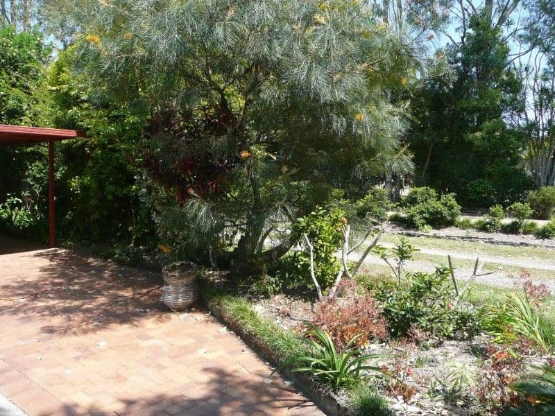 34 Tasol Street, BLI BLI QLD 4560, Bli Bli - Thumbnail 8