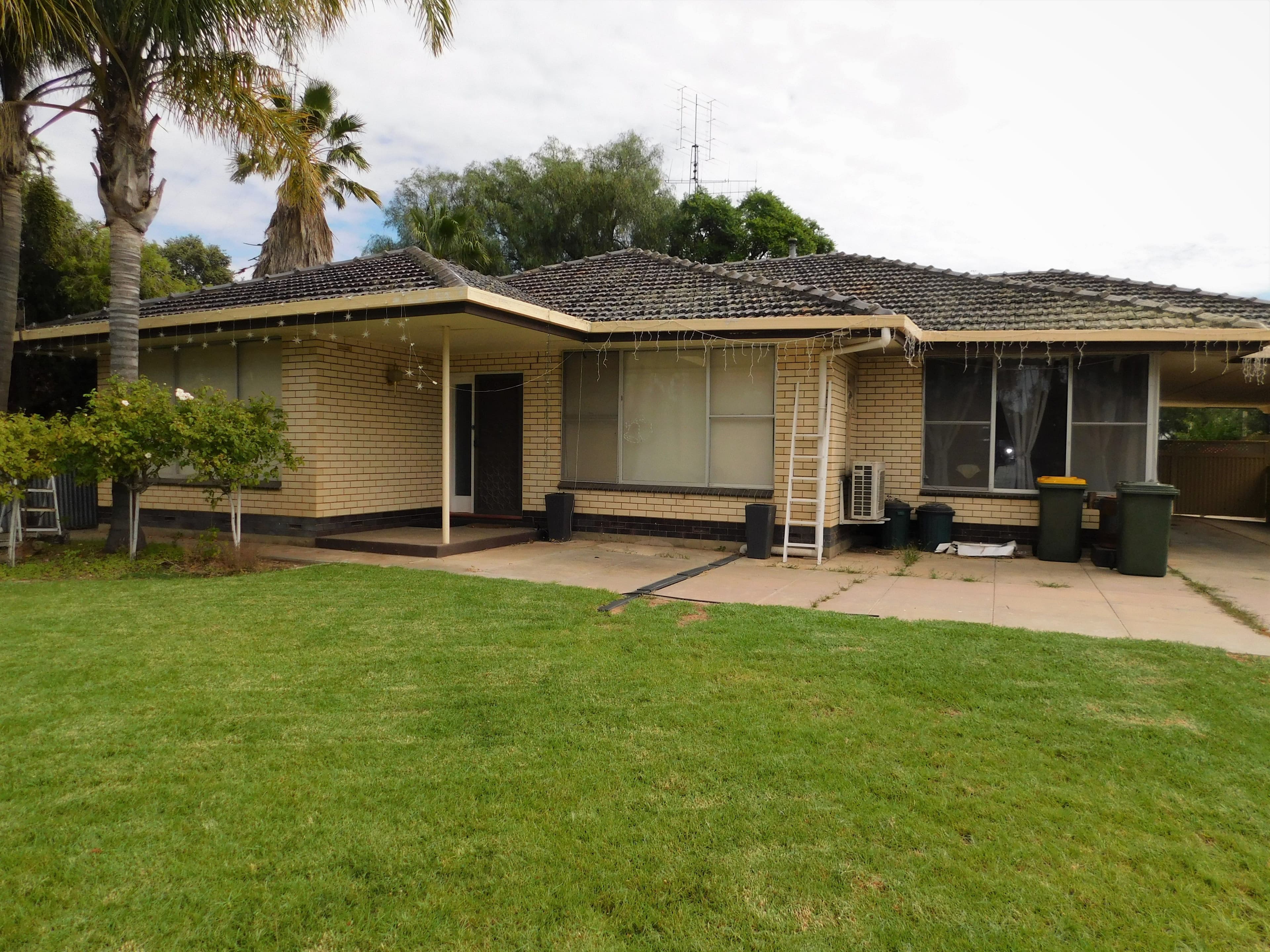 22 Railway Terrace North, Pinnaroo SA 5304, Pinnaroo - Image 1