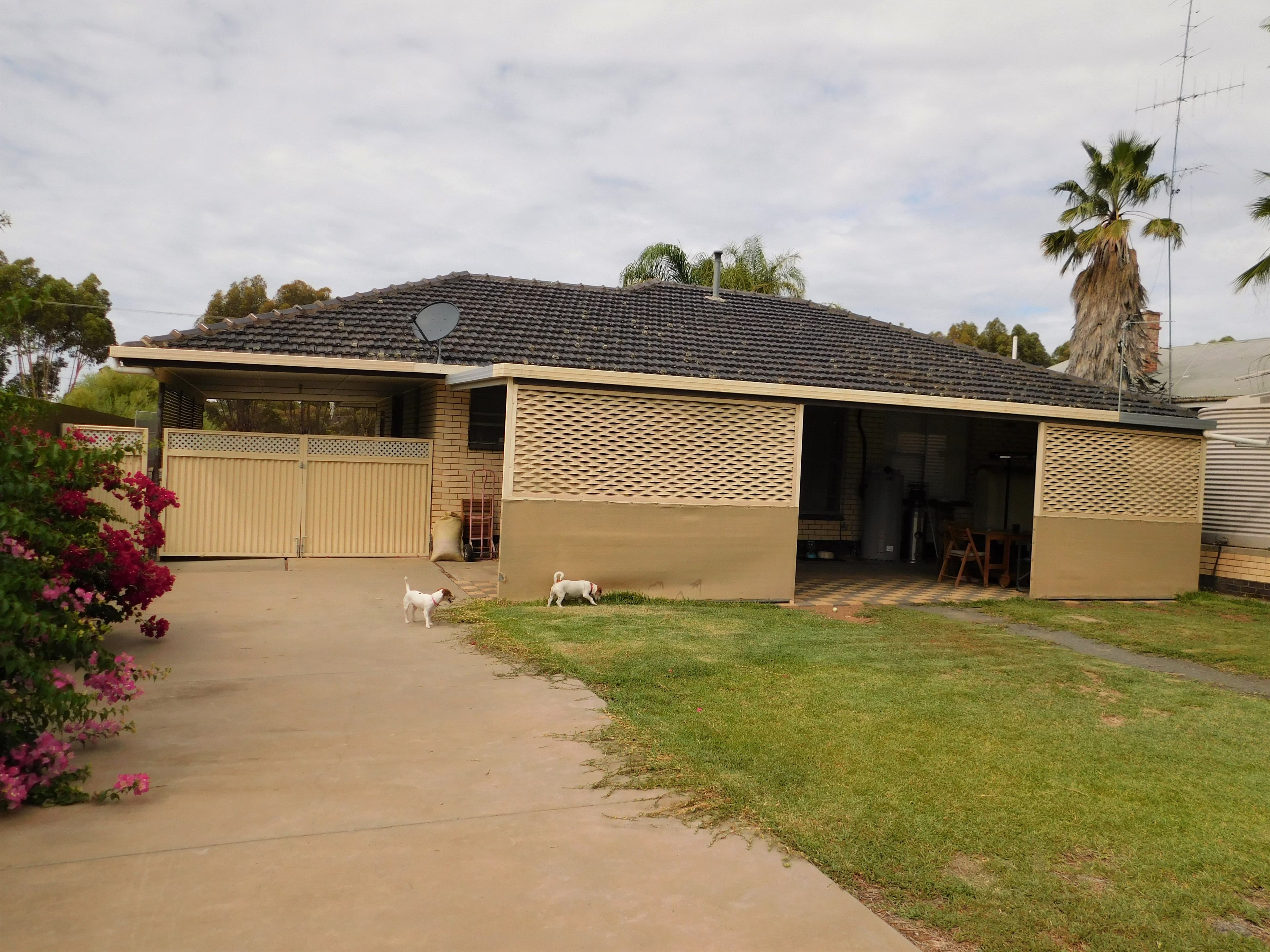 22 Railway Terrace North, Pinnaroo SA 5304, Pinnaroo - Thumbnail 7