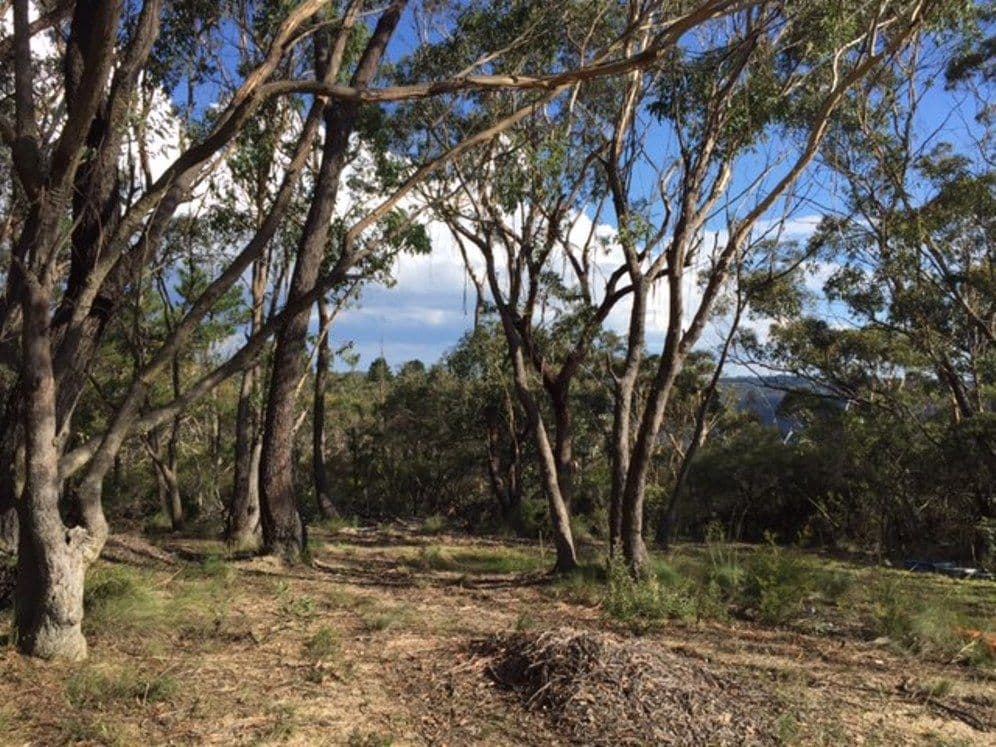 42-44 Ada Road, BLACKHEATH NSW 2785, Blackheath - Thumbnail 2