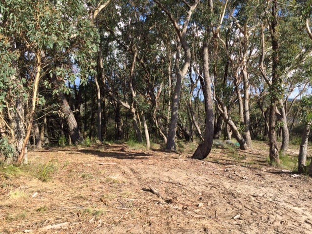 42-44 Ada Road, BLACKHEATH NSW 2785, Blackheath - Thumbnail 6