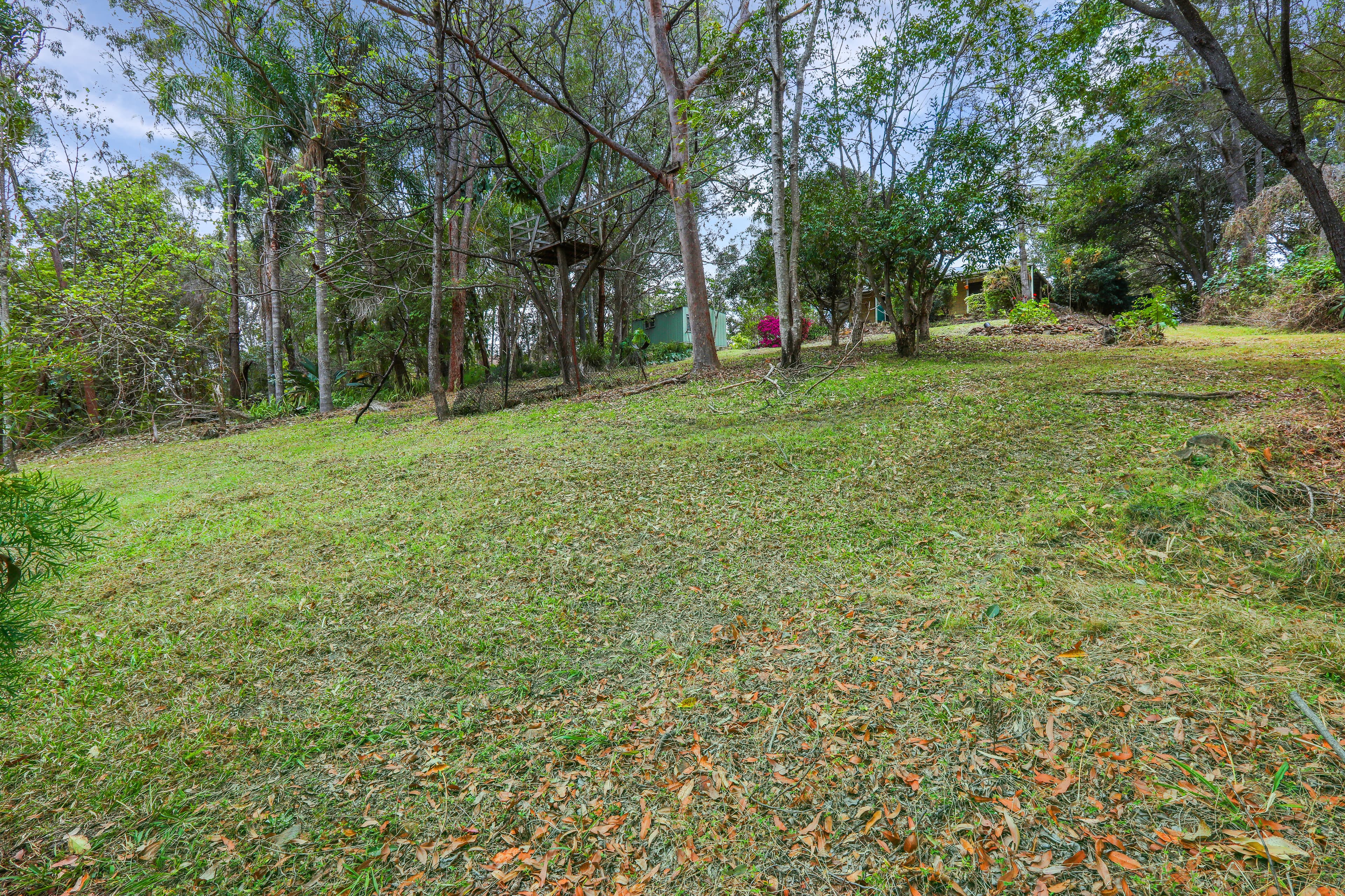 86 Bridgman Drive, Reedy Creek QLD 4227, Reedy Creek - Thumbnail 5