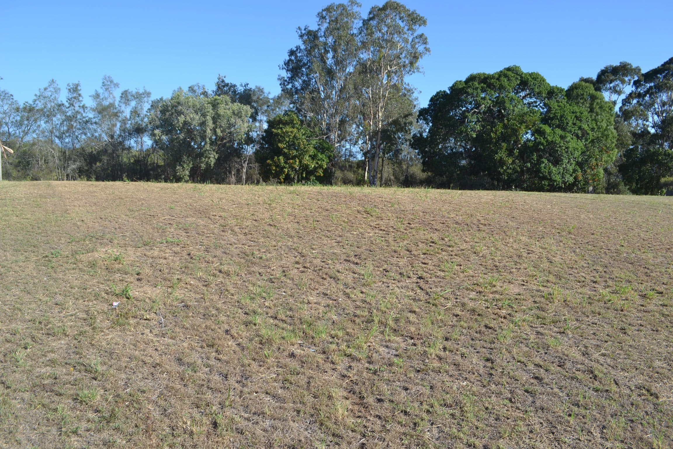 22 Foreshore Drive, Urangan QLD 4655, Urangan - Thumbnail 7