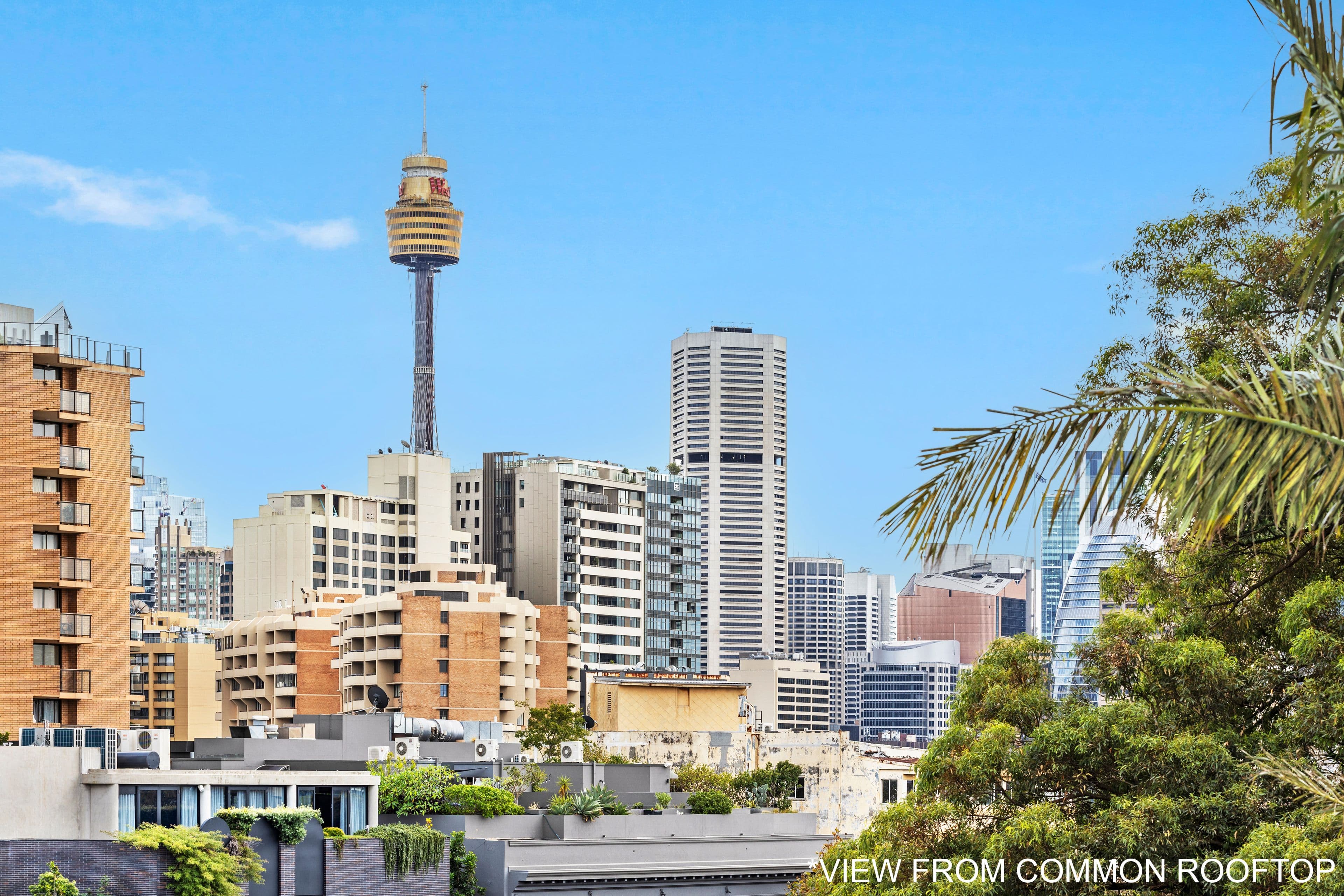 188 Campbell Street, Darlinghurst NSW 2010, Darlinghurst - Thumbnail 7