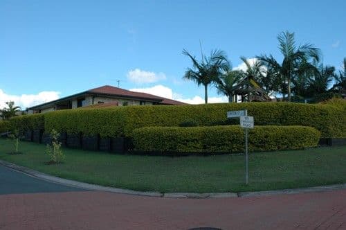 2 Civetta Court, DAKABIN QLD 4503, Dakabin - Thumbnail 2