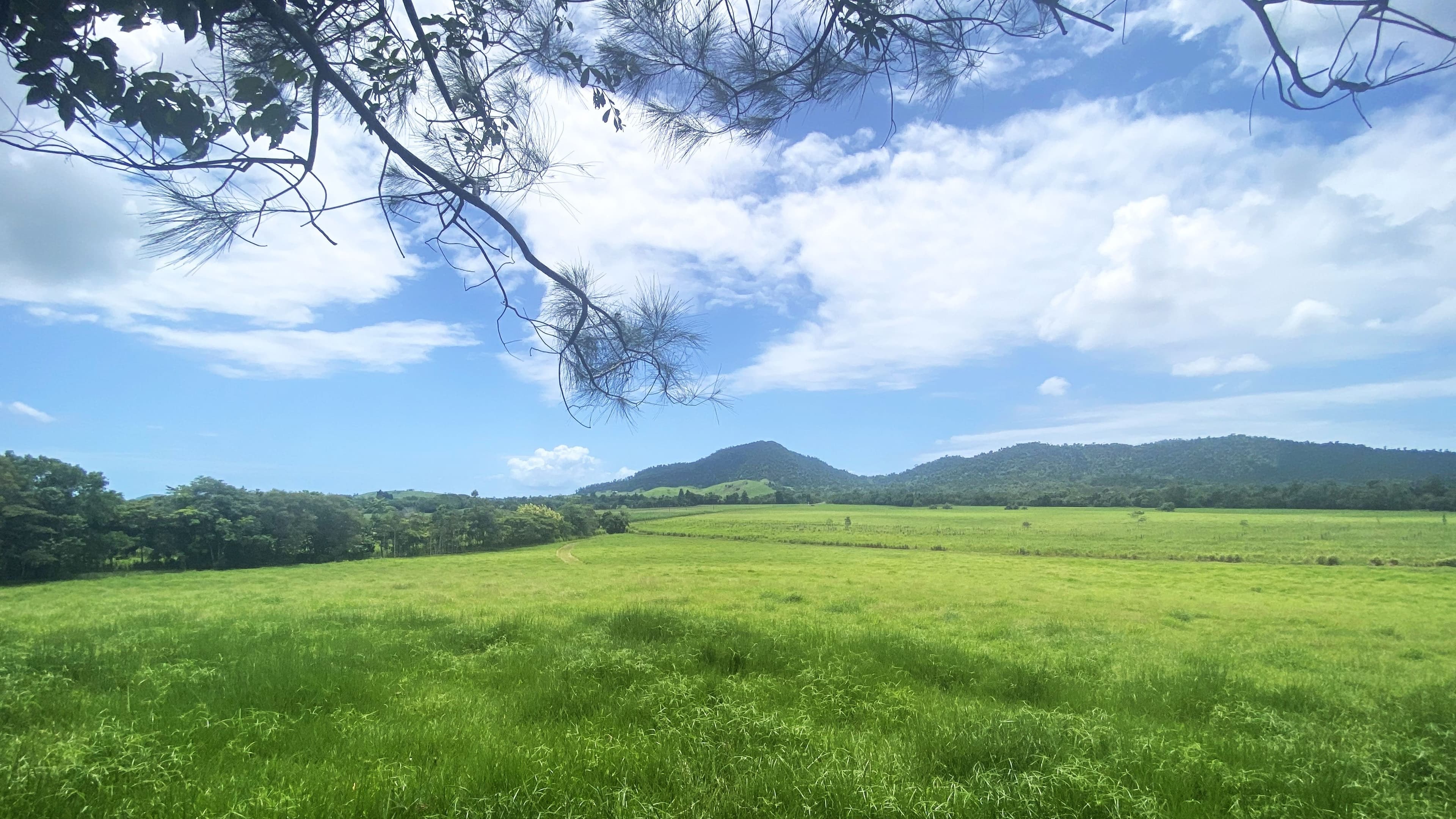 Lots 329 & 8 El Arish/Mission Beach Road, MISSION BEACH QLD 4852, Mission Beach - Thumbnail 4