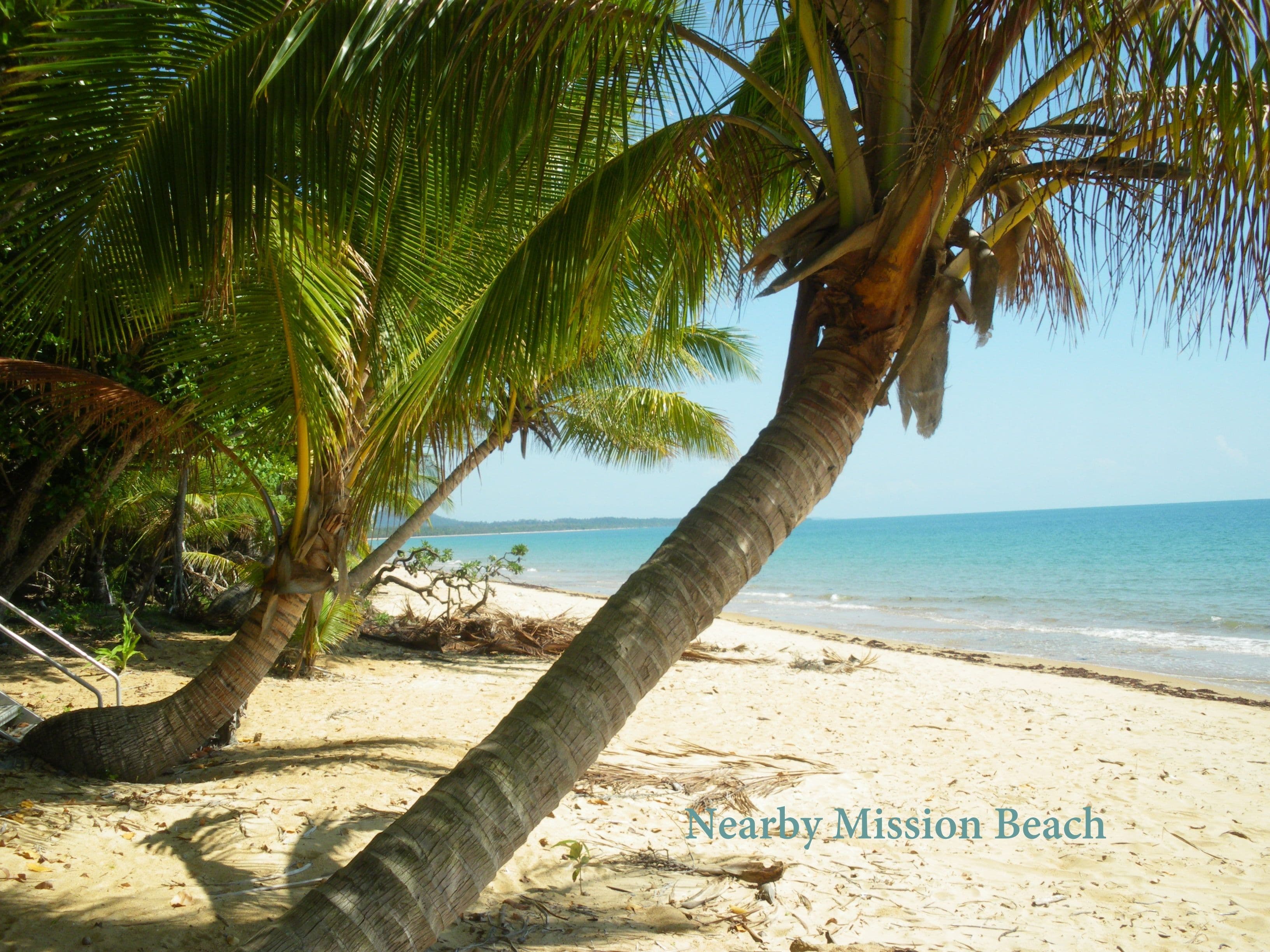 Lots 329 & 8 El Arish/Mission Beach Road, MISSION BEACH QLD 4852, Mission Beach - Thumbnail 5