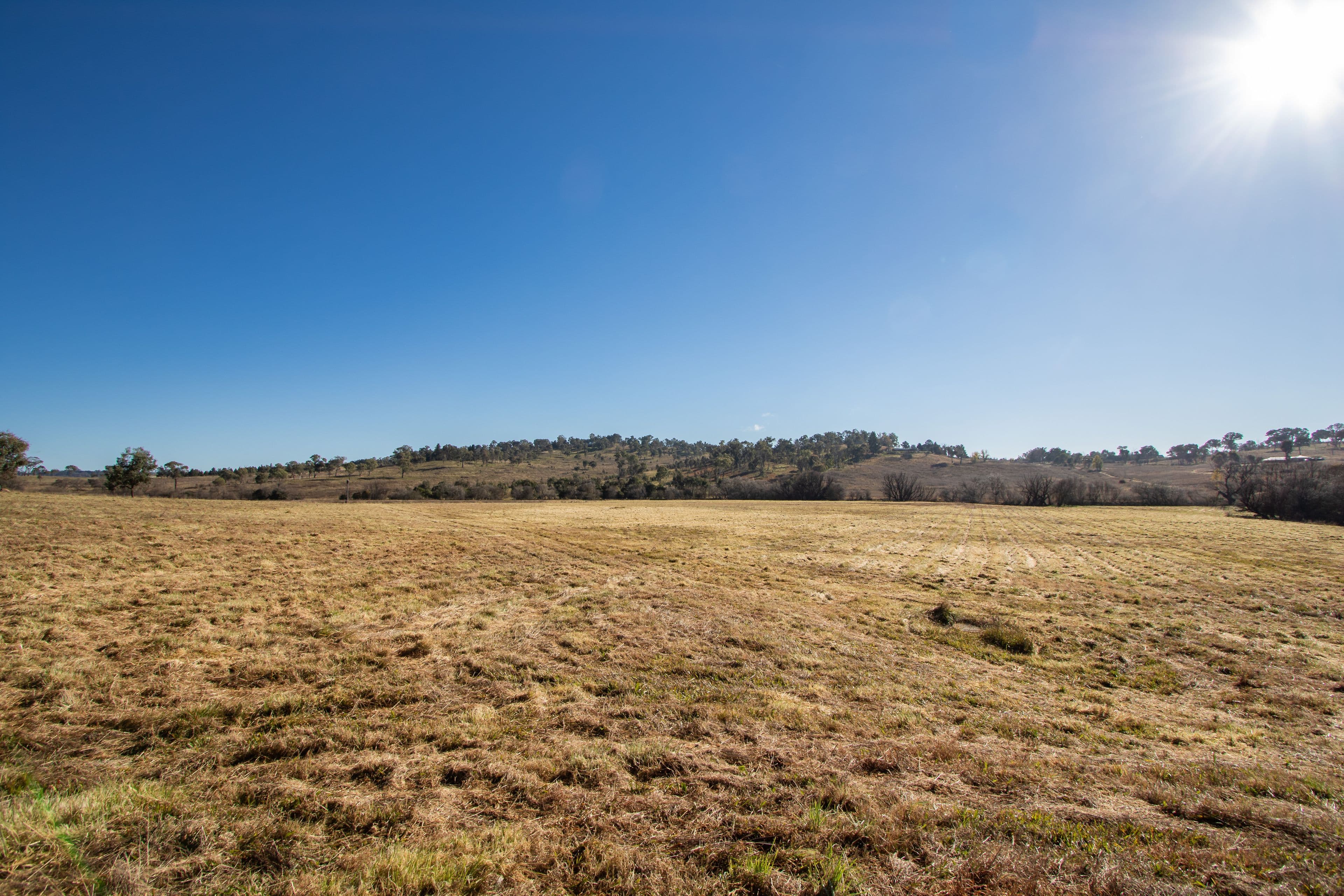 49 Inces Road, Armidale NSW 2350, Armidale - Thumbnail 2