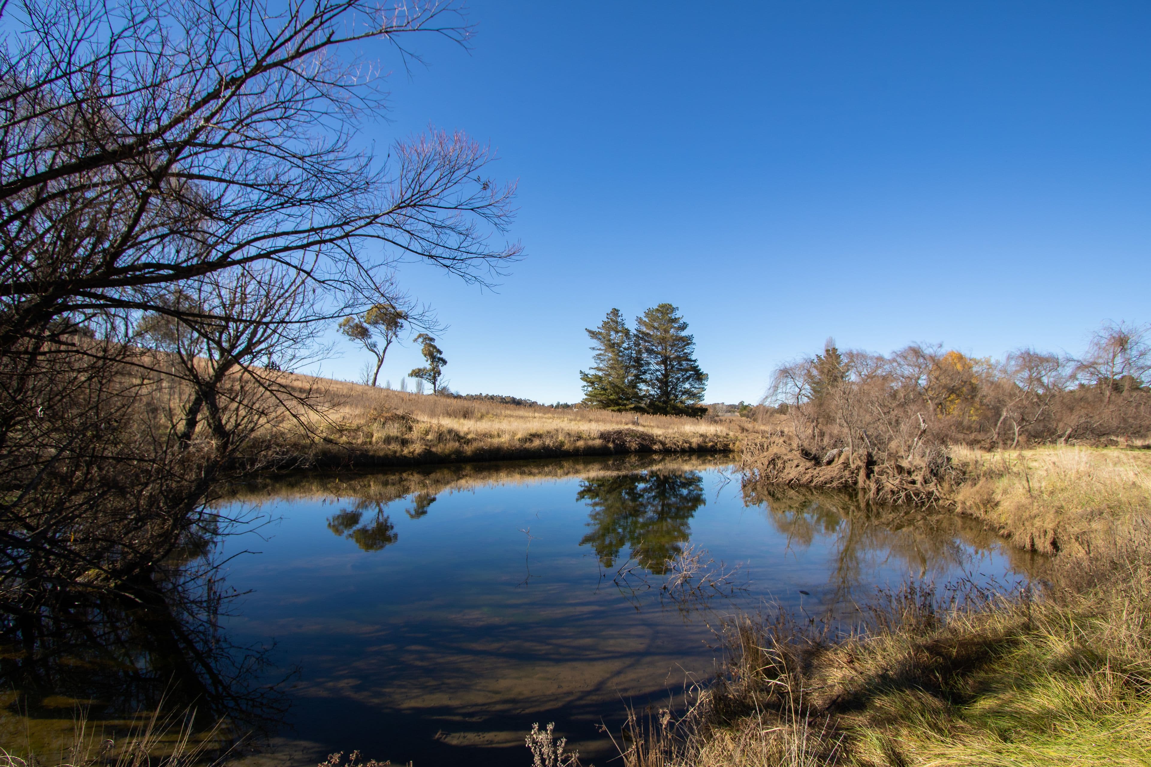 49 Inces Road, Armidale NSW 2350, Armidale - Thumbnail 4