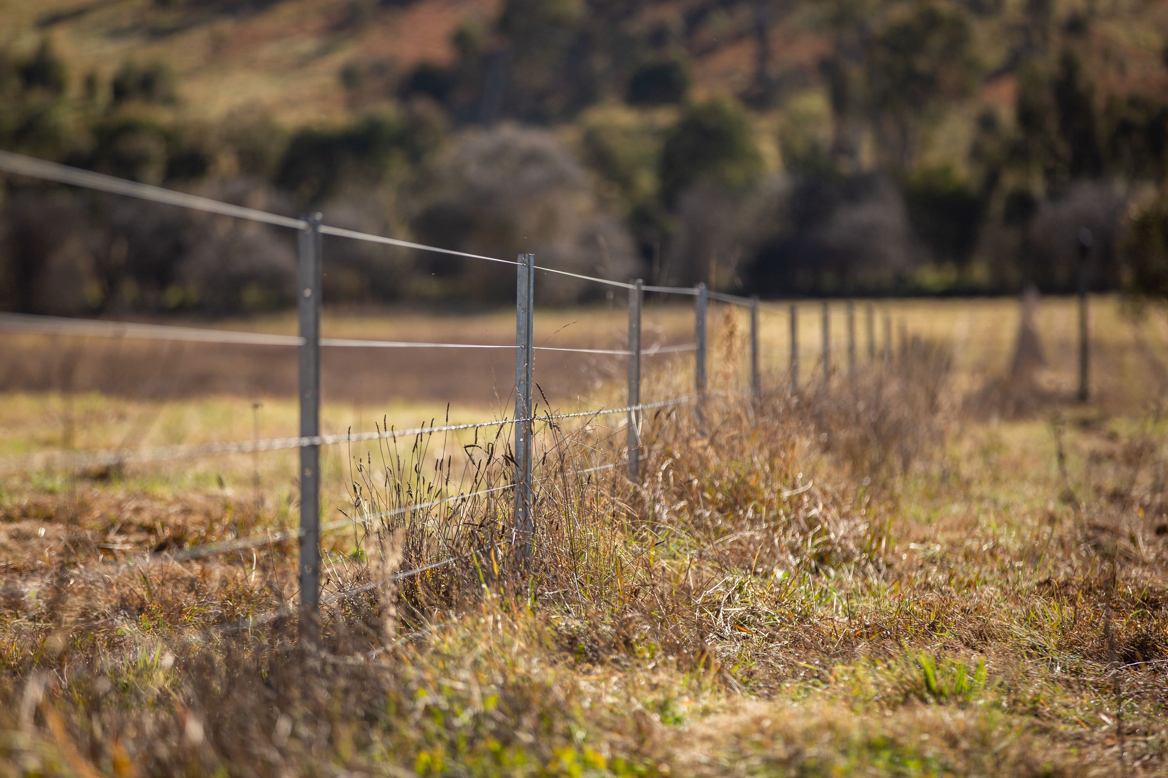 49 Inces Road, Armidale NSW 2350, Armidale - Thumbnail 5