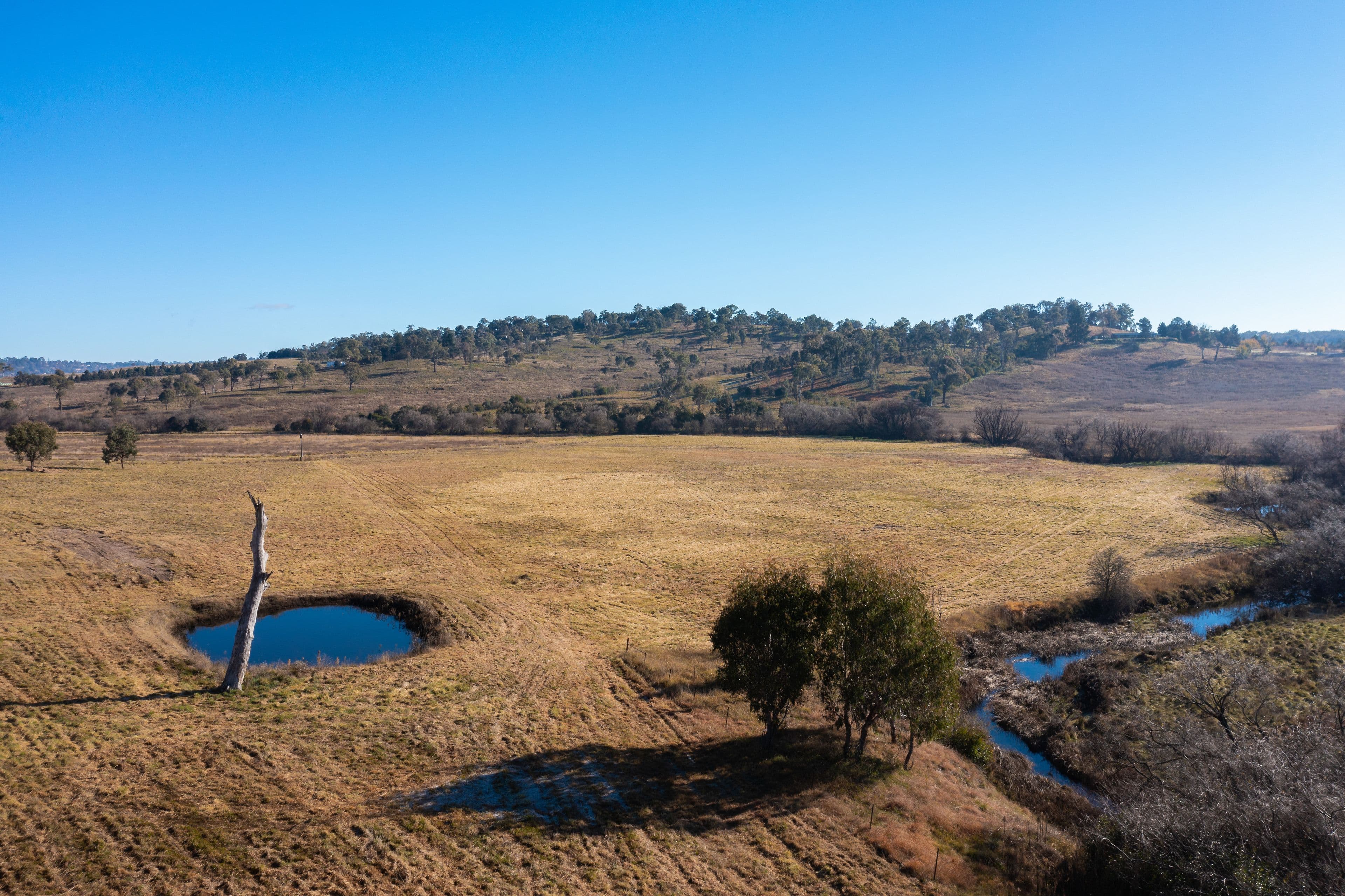 49 Inces Road, Armidale NSW 2350, Armidale - Thumbnail 6