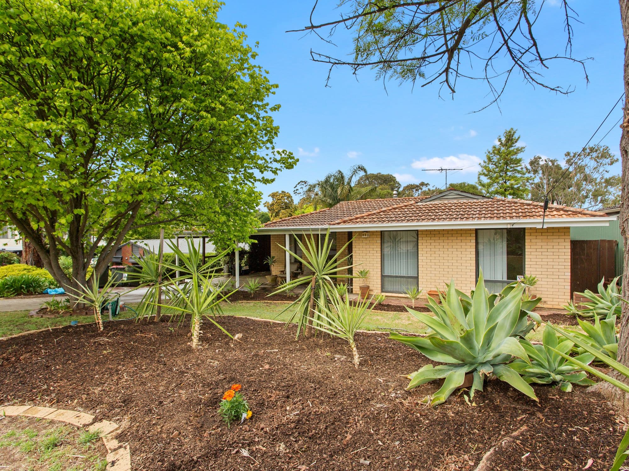 10 Blyth Street, Happy Valley SA 5159, Happy Valley - Thumbnail 4