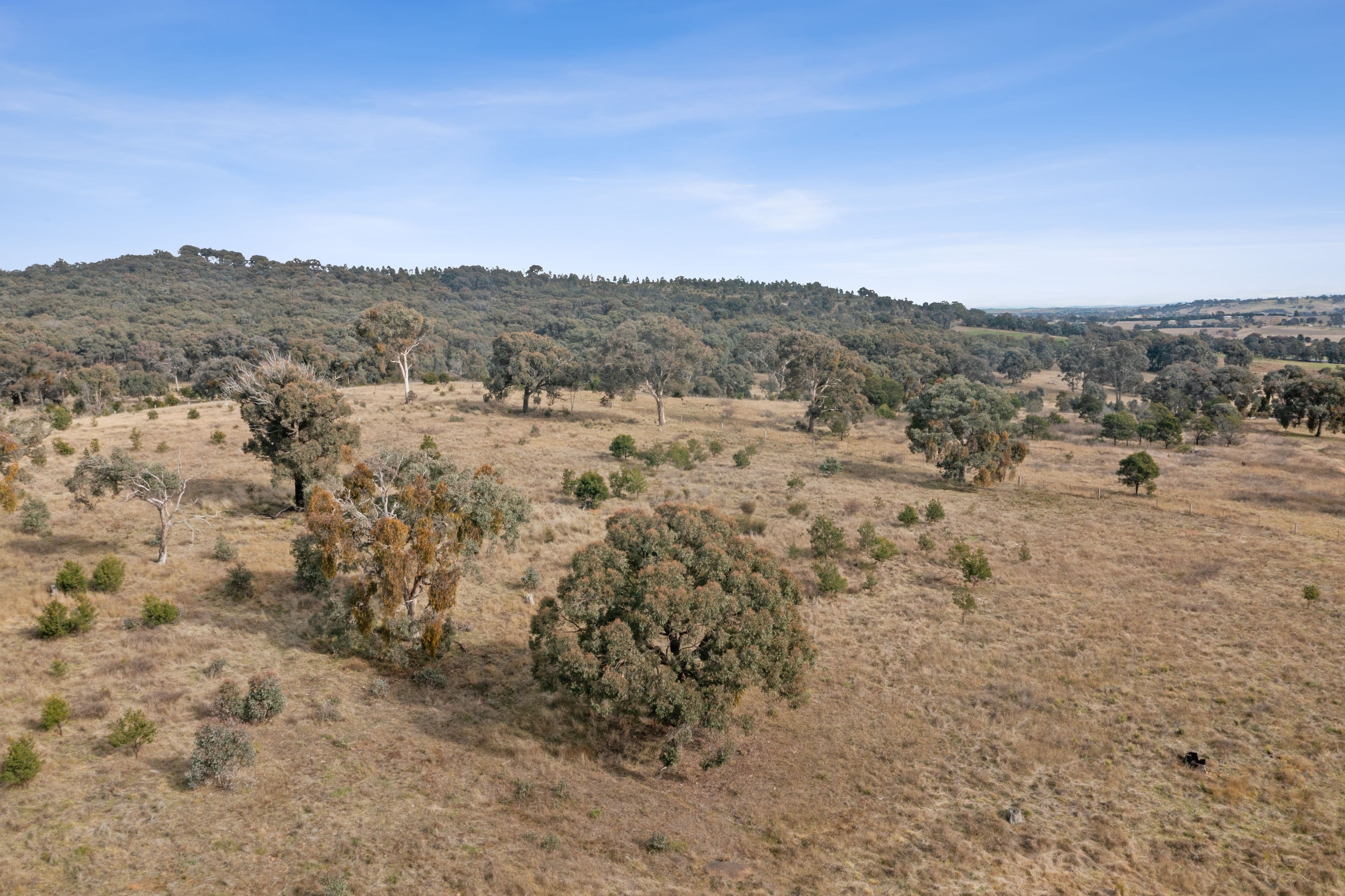 974 Yass River Road, Yass NSW 2582, Yass River - Thumbnail 6