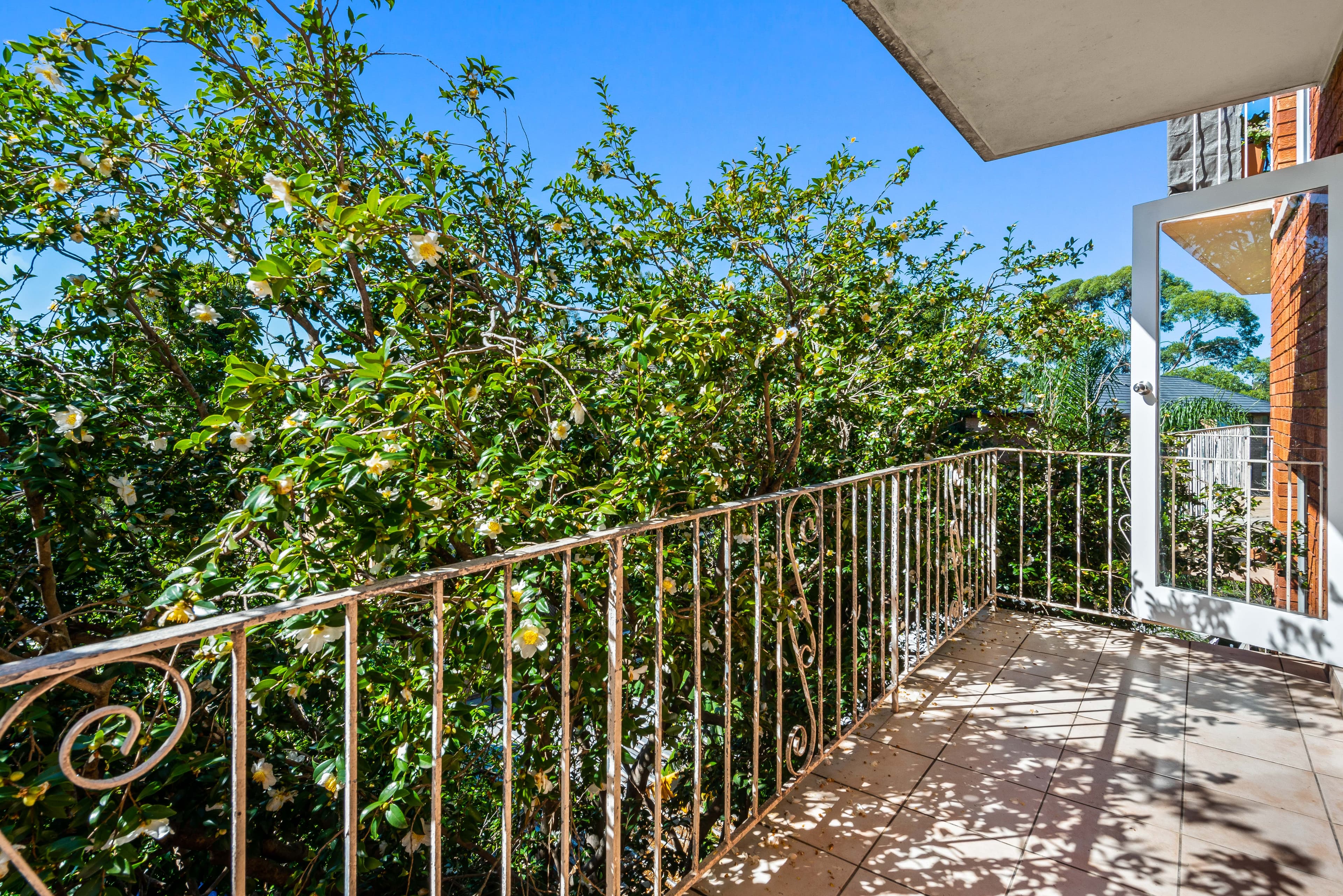 13 Harvard Street, Gladesville NSW 2111, Gladesville - Thumbnail 2