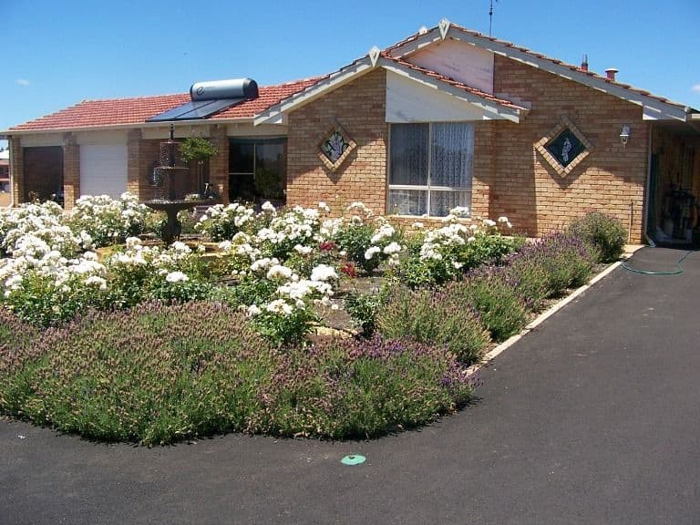 84 Blackbutt Drive, MANJIMUP WA 6258, Manjimup - Image 1