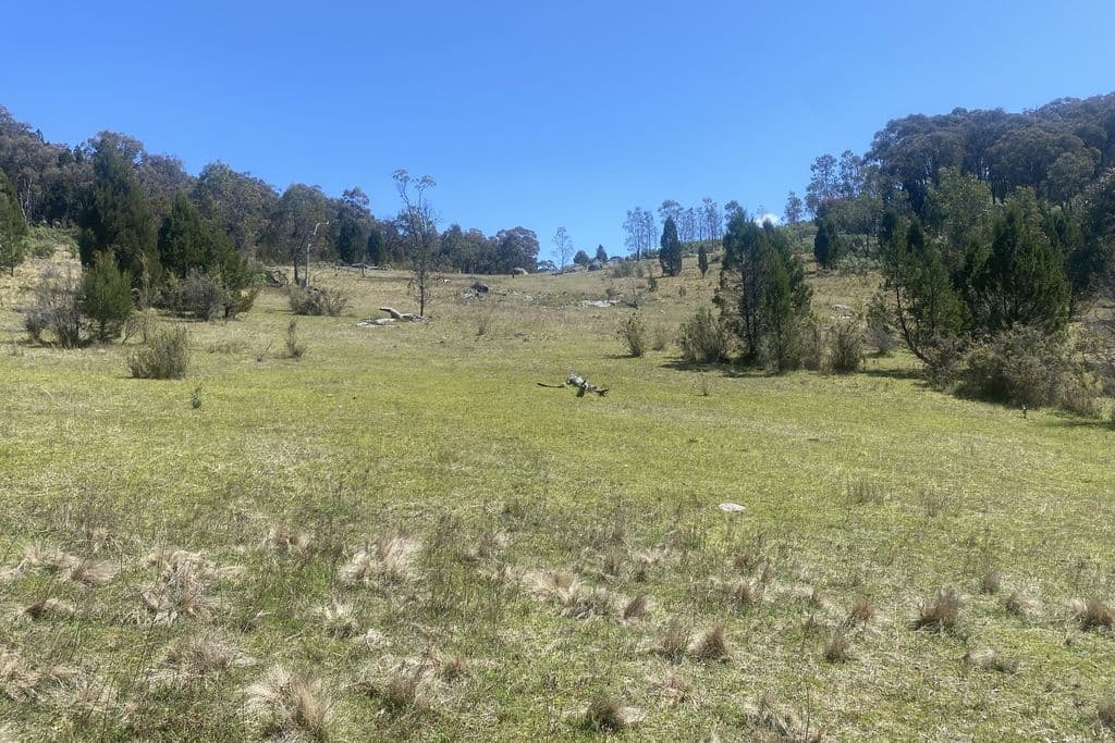 Lot 155 Grabine Road, Bigga - Thumbnail 2