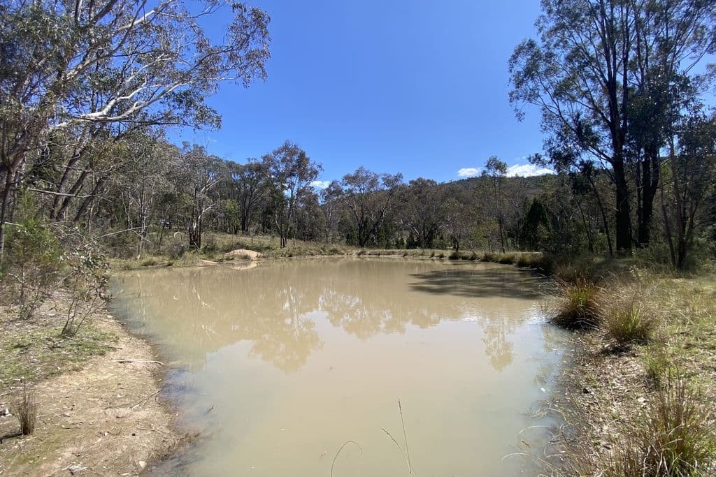 Lot 155 Grabine Road, Bigga - Thumbnail 3