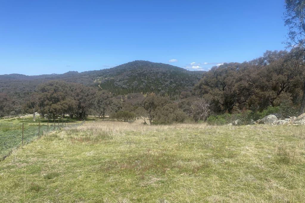 Lot 155 Grabine Road, Bigga - Thumbnail 4