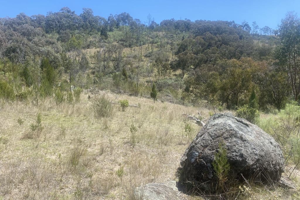 Lot 155 Grabine Road, Bigga - Thumbnail 5