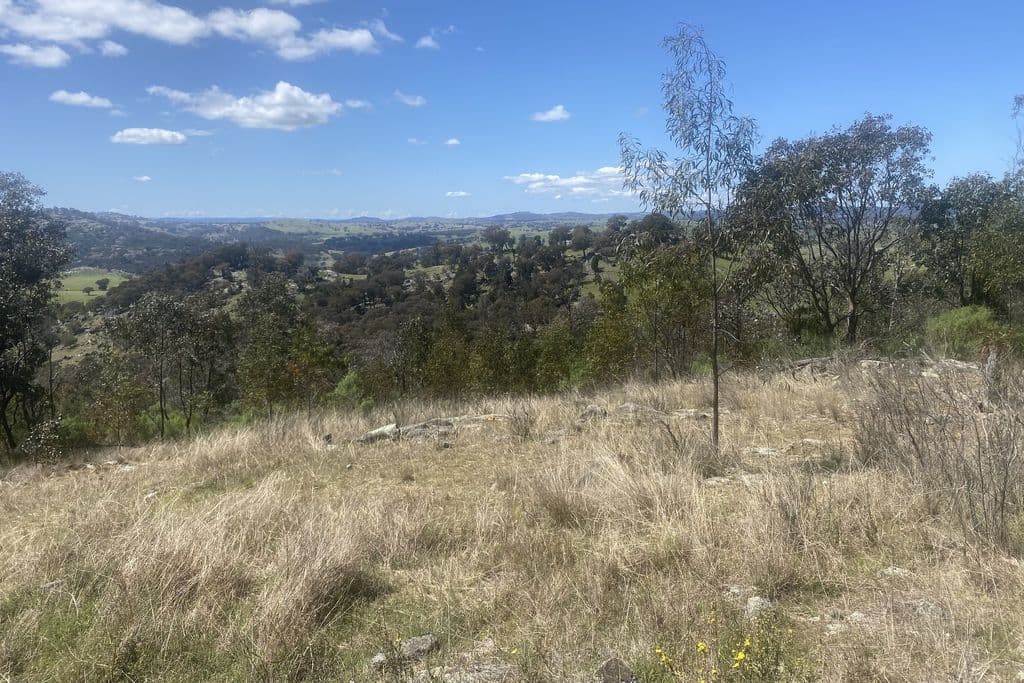 Lot 155 Grabine Road, Bigga - Thumbnail 7