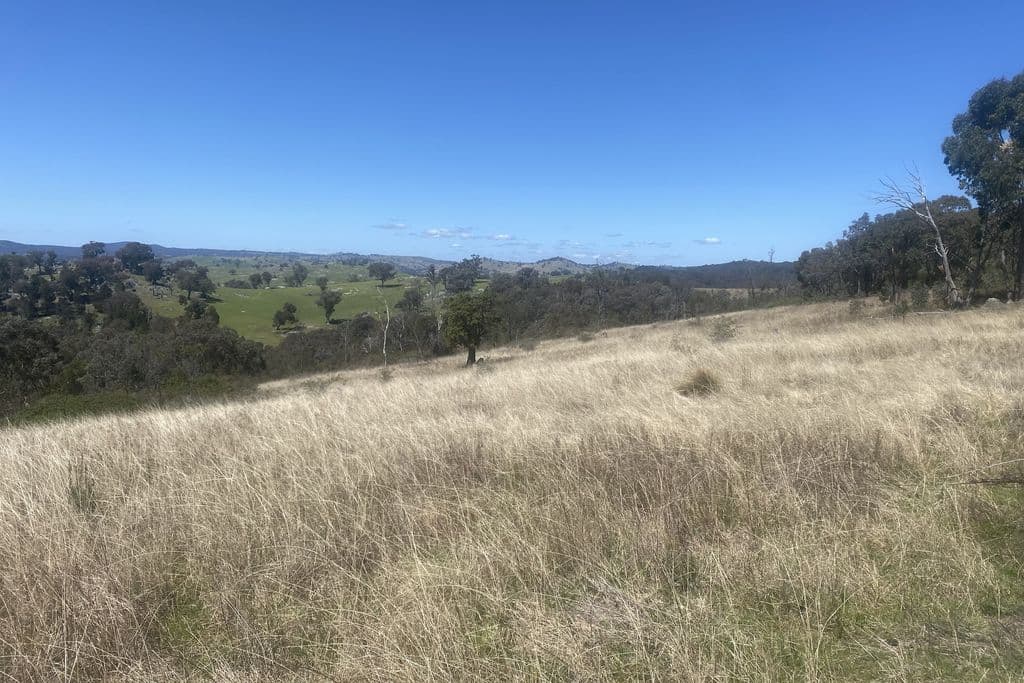 Lot 155 Grabine Road, Bigga - Thumbnail 8