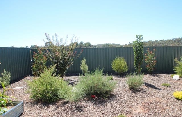 13 Tamblyn Street, Clare SA 5453, Clare - Thumbnail 8