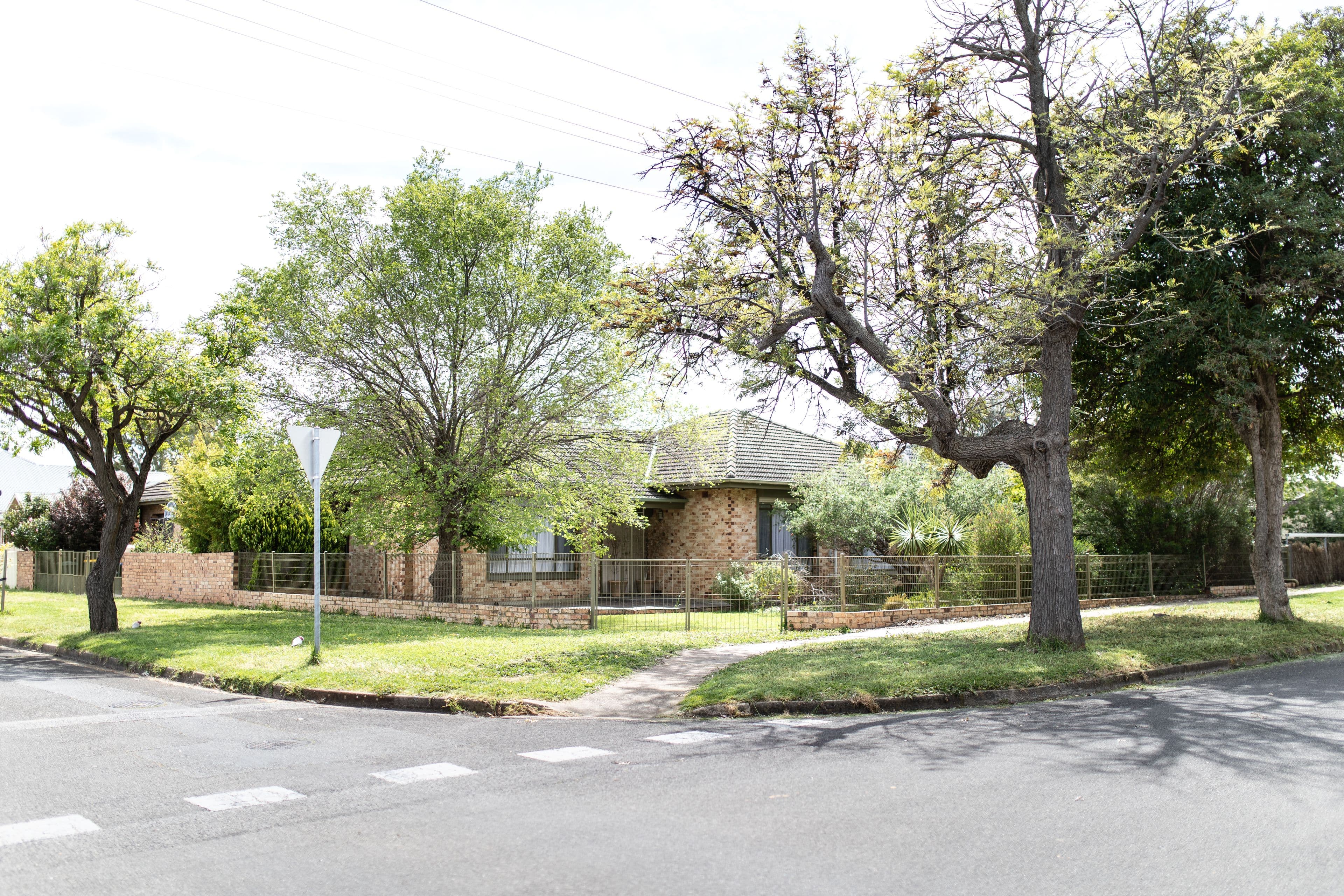 53 Central Avenue, Magill SA 5072, Magill - Thumbnail 8
