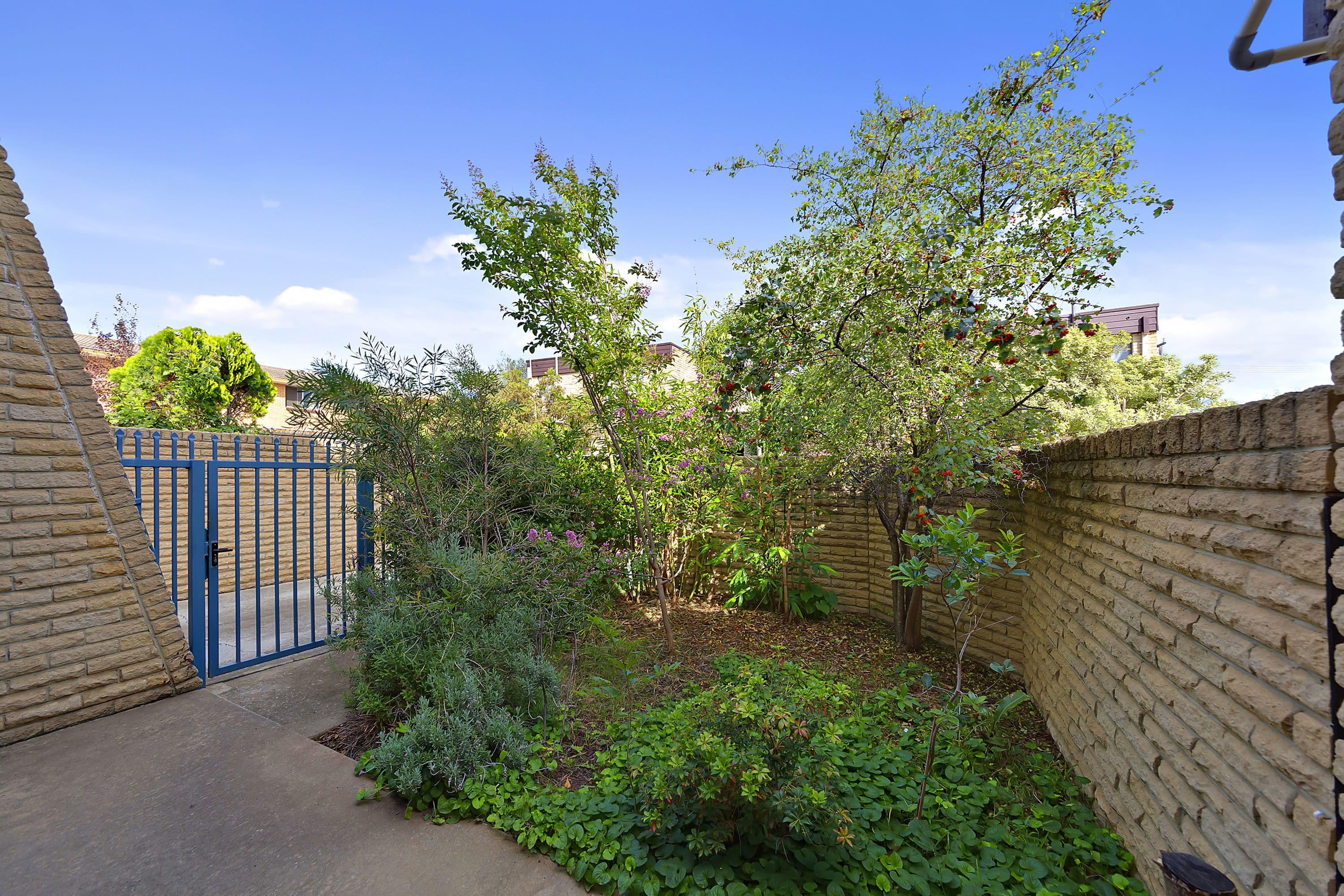20 Donald Road, Queanbeyan NSW 2620, Queanbeyan - Thumbnail 2