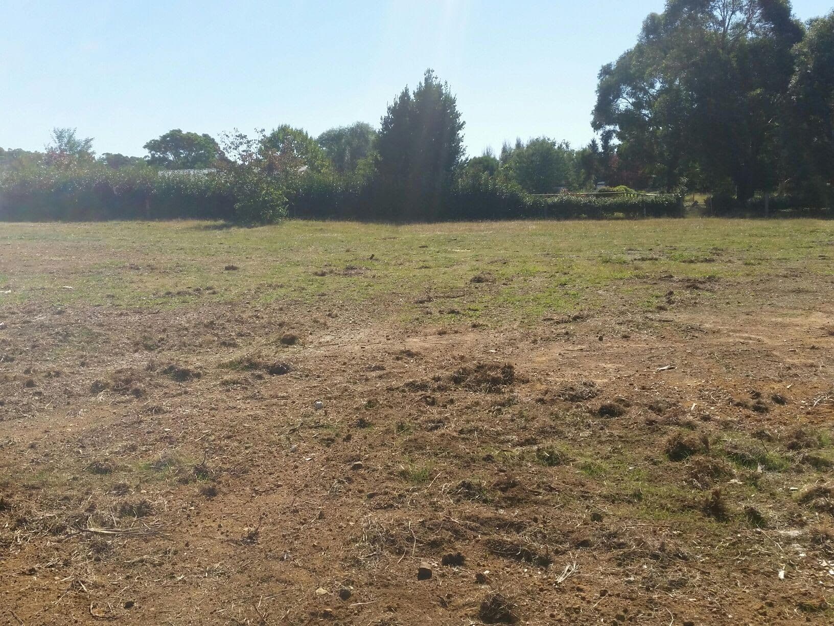12 Beresford Street, Mittagong NSW 2575, Mittagong - Thumbnail 3