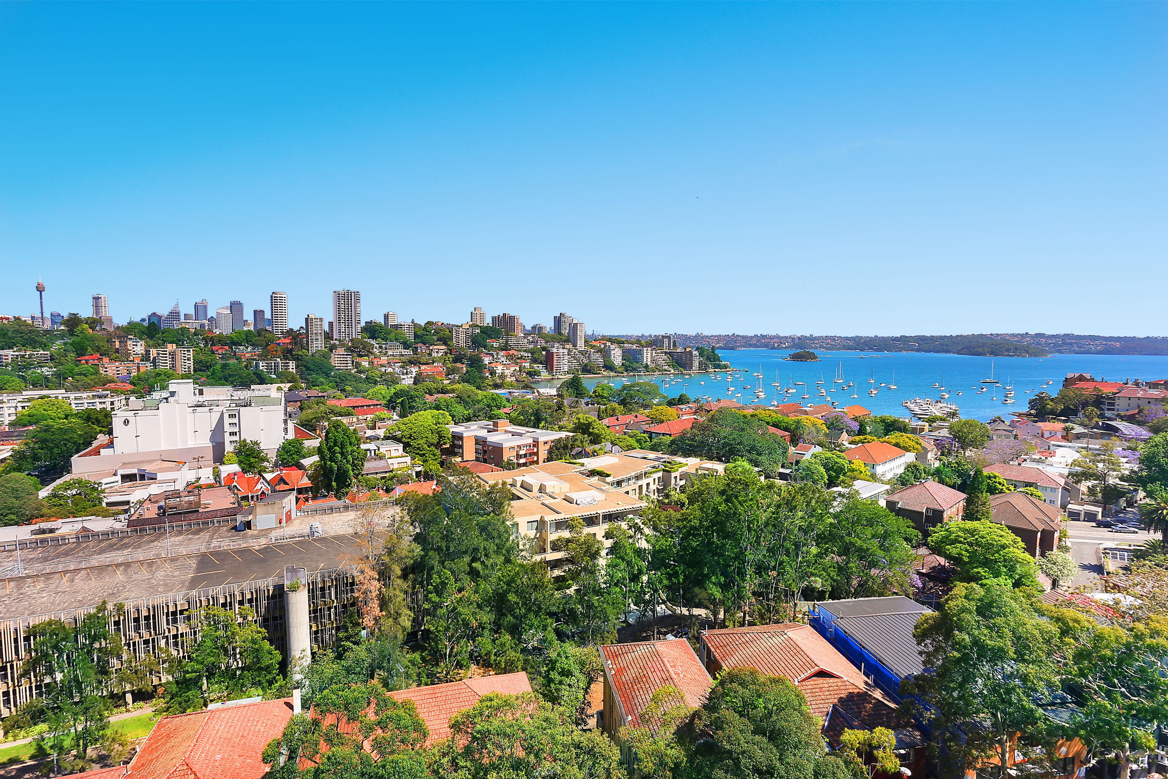 177 Bellevue Road, Bellevue Hill NSW 2023, Bellevue Hill - Thumbnail 5