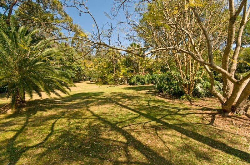 7 Camphorlaurel Court, TALLEBUDGERA VALLEY QLD 4228, Tallebudgera Valley - Thumbnail 3