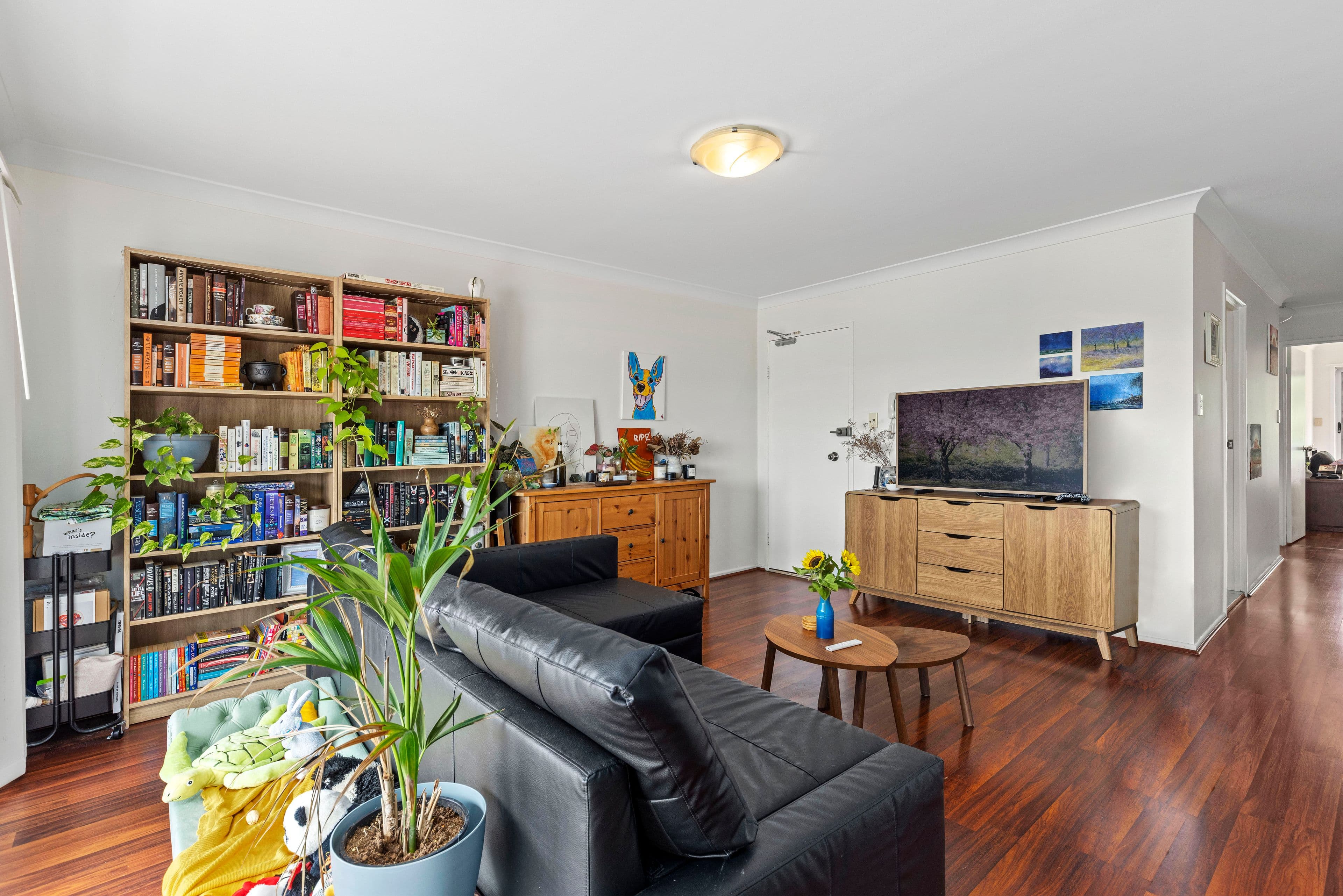 44 Cintra Road, Bowen Hills QLD 4006, Bowen Hills - Thumbnail 3