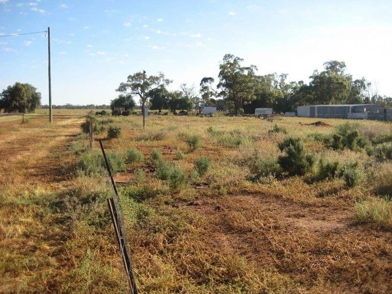 8 Keewong, EUABALONG NSW 2877, Euabalong - Image 1
