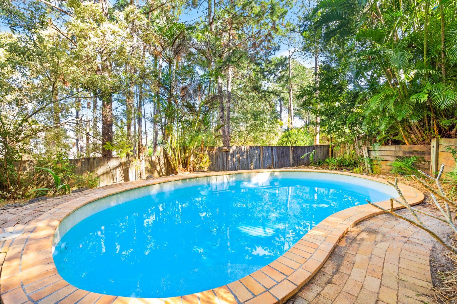 82 Avocado Street, Elanora QLD 4221, Elanora - Thumbnail 3