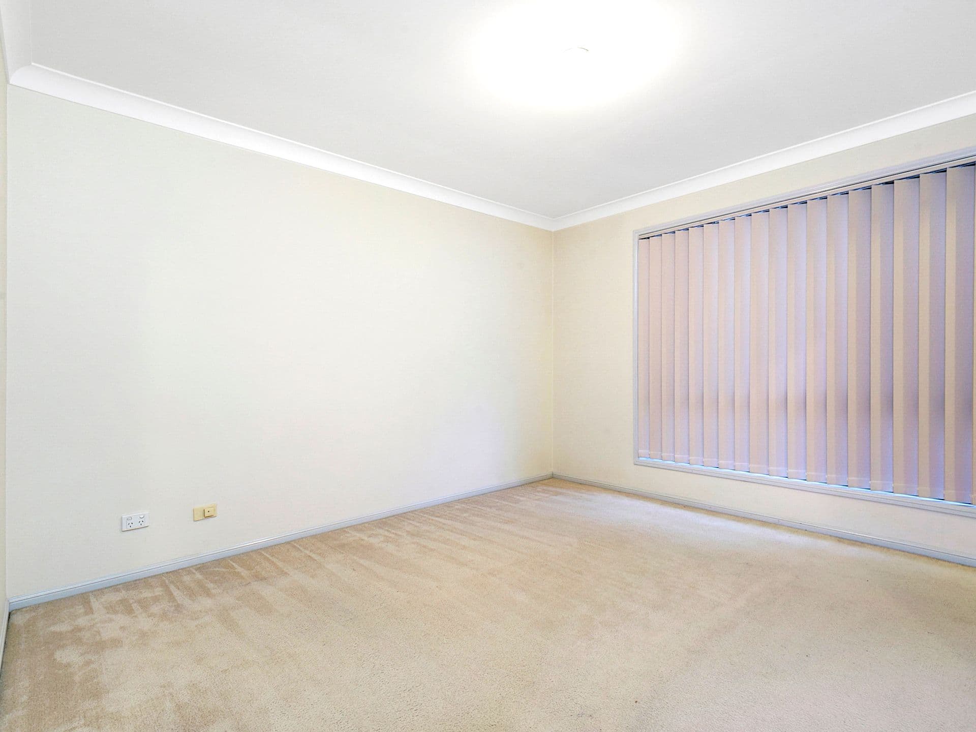 8 Estate Place, Holland Park West QLD 4121, Holland Park West - Thumbnail 5