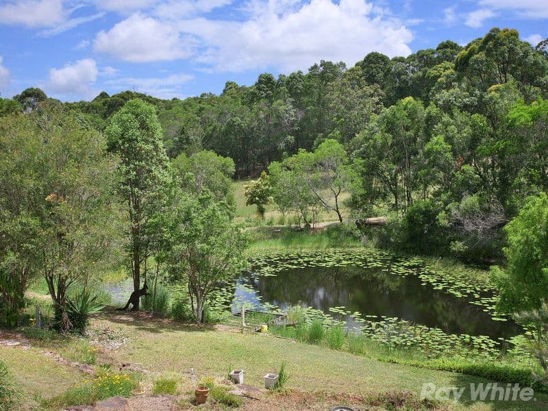 71 Dahlia Road, Verrierdale QLD 4562, Verrierdale - Thumbnail 8