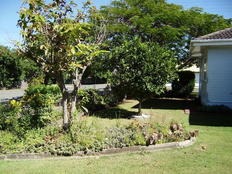 48 King Street, WOODY POINT QLD 4019, Woody Point - Thumbnail 8