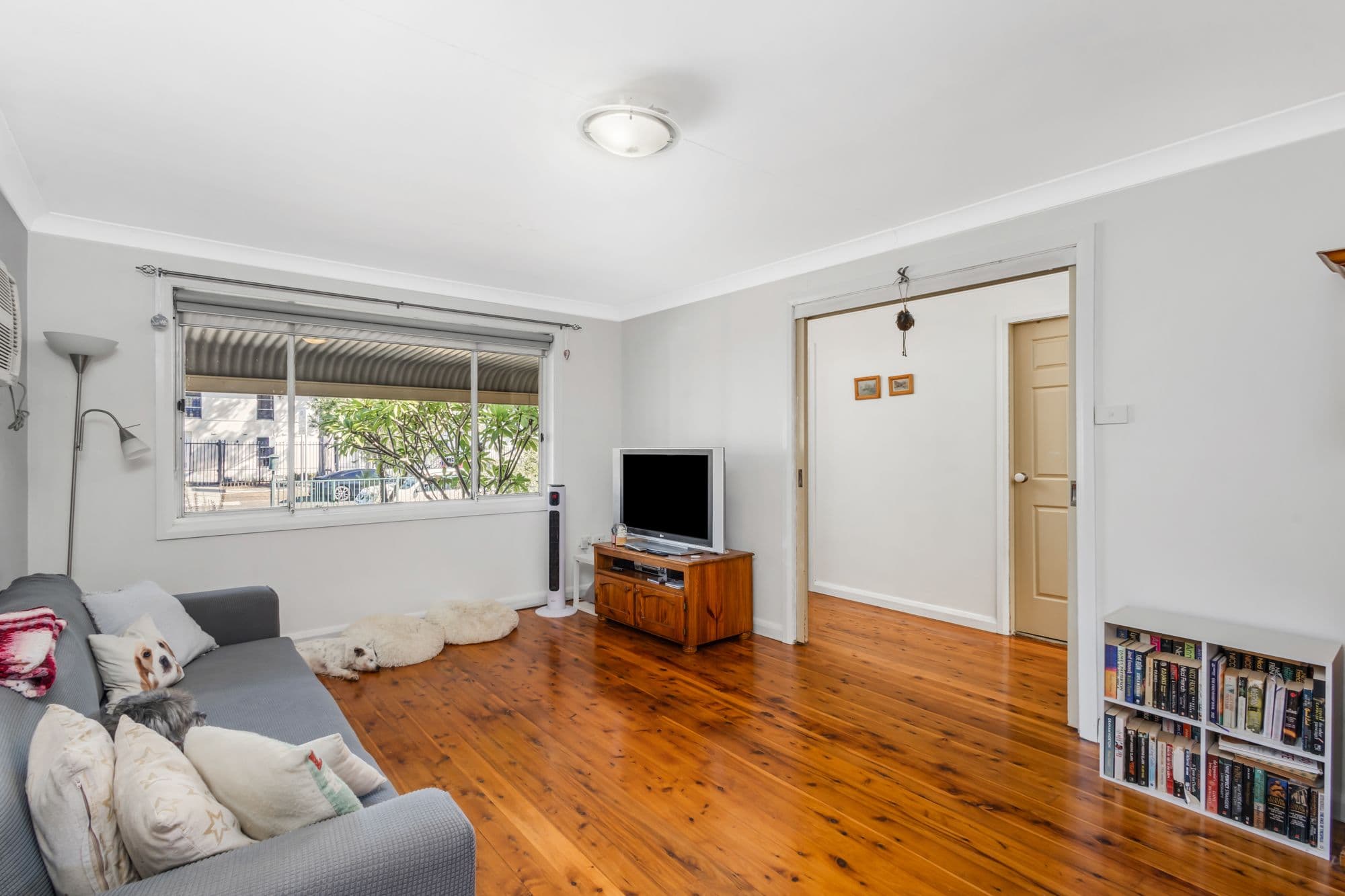 57 Gascoigne Street, Kingswood NSW 2747, Kingswood - Thumbnail 4