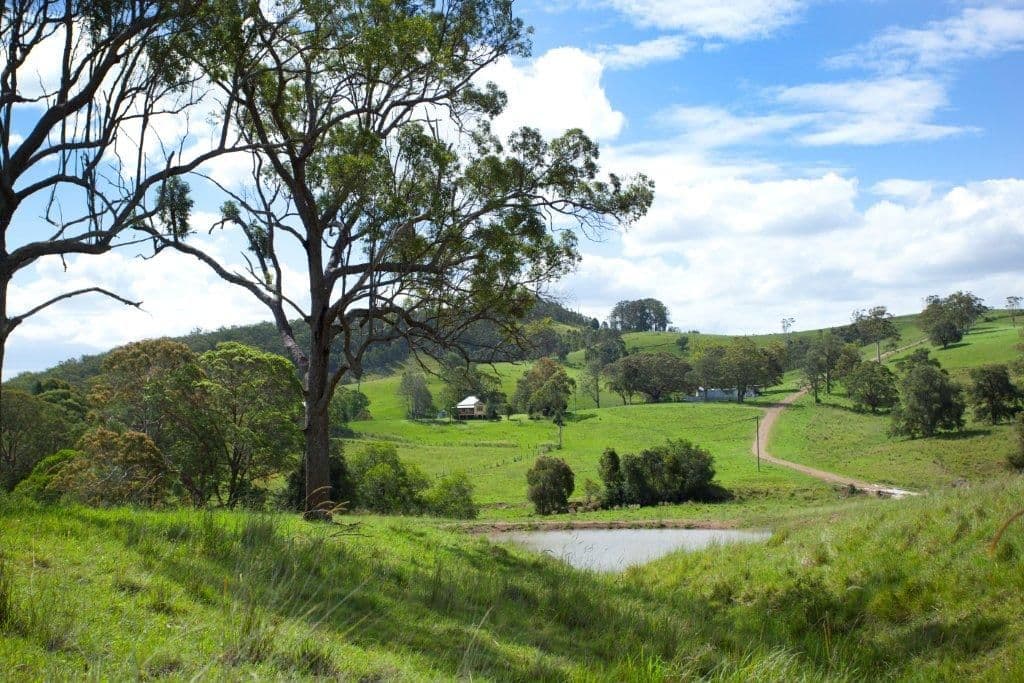 5691 The Bucketts Way, Burrell Creek NSW 2429, Burrell Creek - Thumbnail 5
