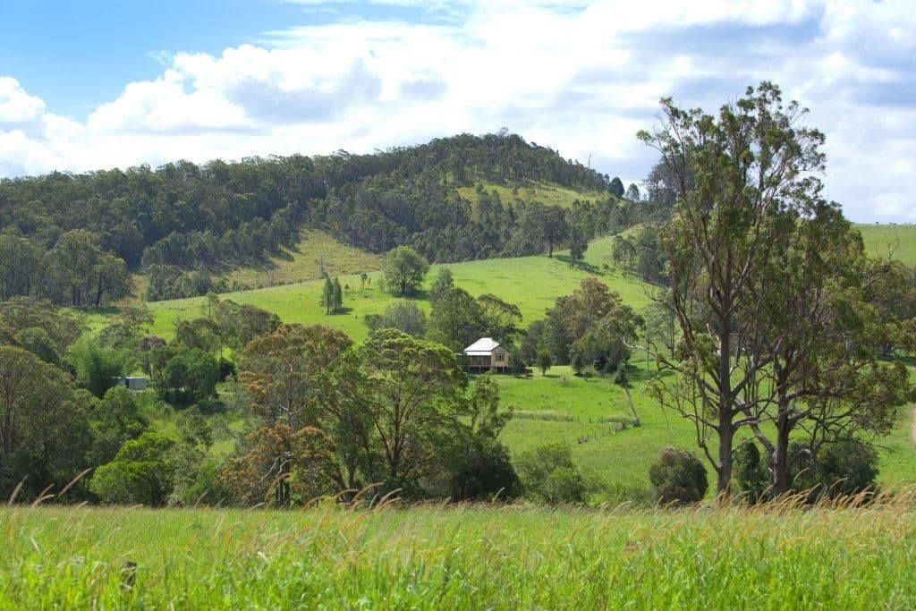 5691 The Bucketts Way, Burrell Creek NSW 2429, Burrell Creek - Thumbnail 6