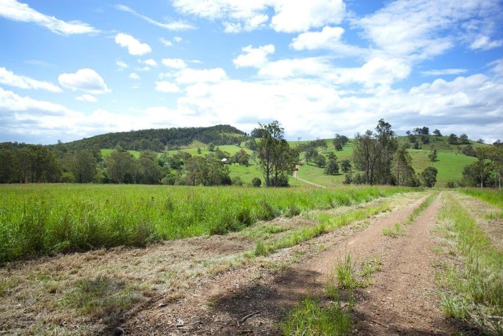 5691 The Bucketts Way, Burrell Creek NSW 2429, Burrell Creek - Thumbnail 7