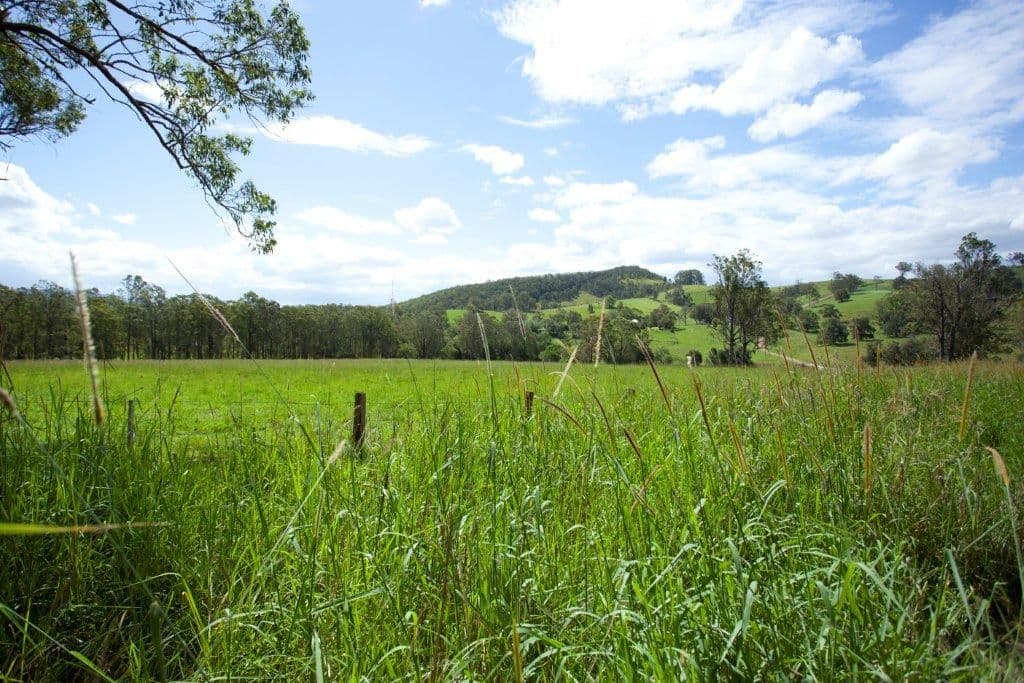 5691 The Bucketts Way, Burrell Creek NSW 2429, Burrell Creek - Thumbnail 8