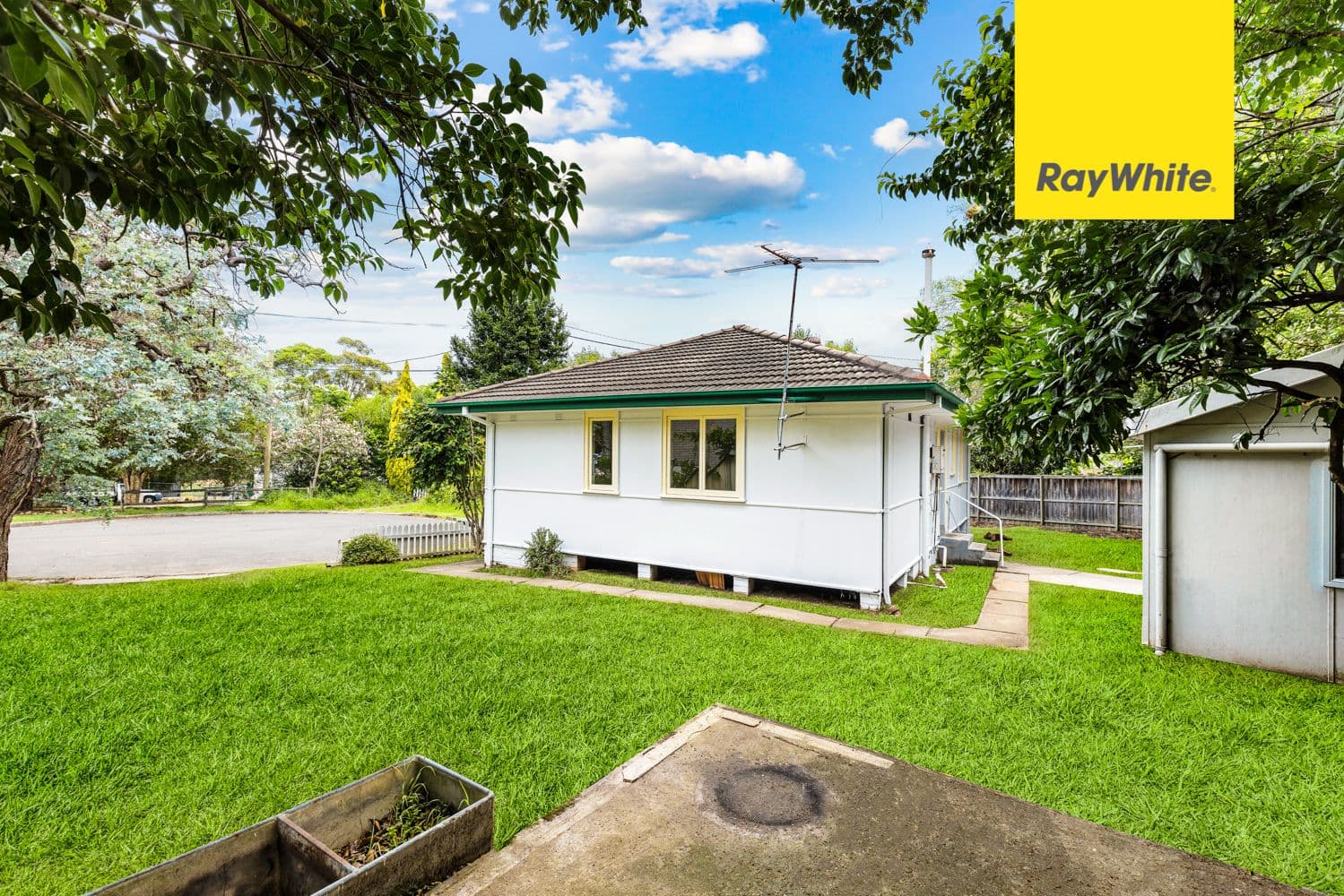 19 Scott Street, Marsfield NSW 2122, Marsfield - Thumbnail 7