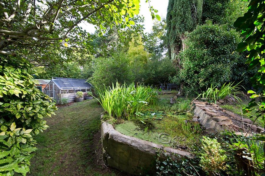 19 Hat Hill Road, Blackheath - Thumbnail 7