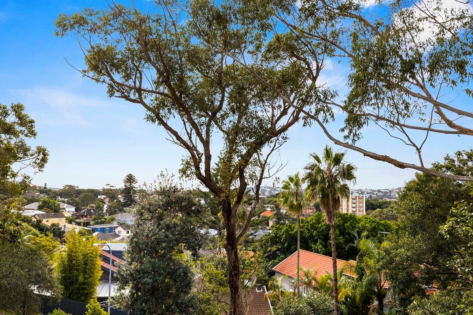62 Francis Street, Bondi Beach NSW 2026, Bondi Beach - Thumbnail 7