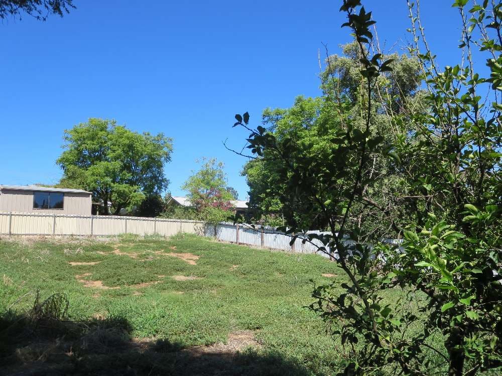 443 Percy Street, EAST ALBURY NSW 2640, East Albury - Image 1