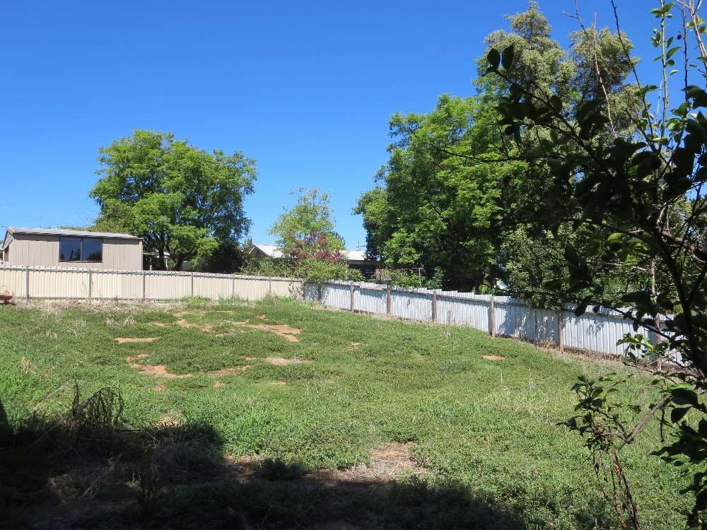 443 Percy Street, EAST ALBURY NSW 2640, East Albury - Thumbnail 2