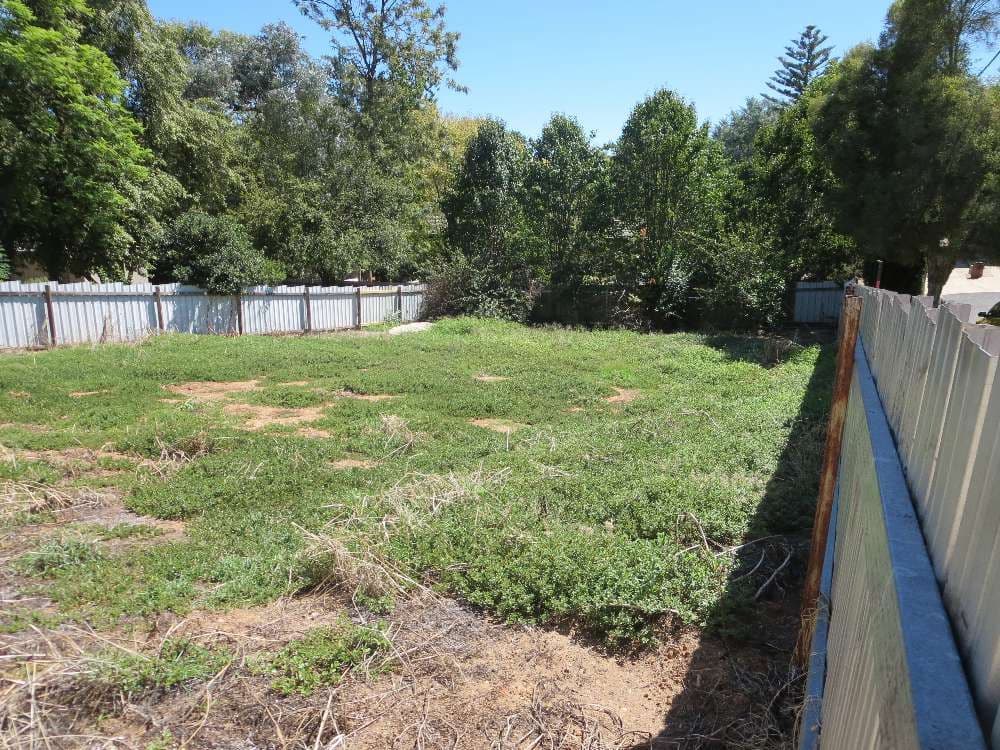 443 Percy Street, EAST ALBURY NSW 2640, East Albury - Thumbnail 4