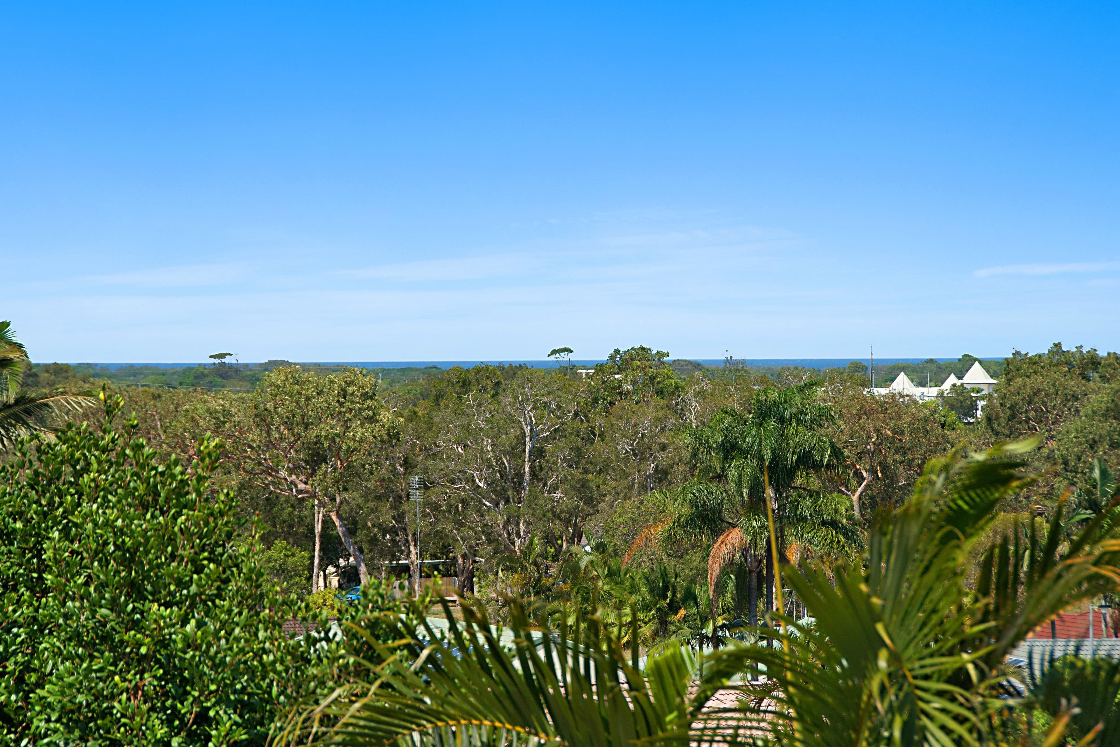 31 Ridgehaven Court, Aroona QLD 4551, Aroona - Thumbnail 5